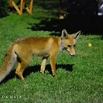 Quinta Da Mata - Turismo De Habitacao Hétvégi ház