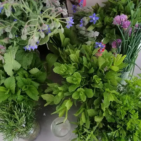 Quinta Da Mata - Turismo De Habitacao