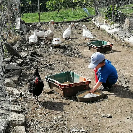 Kır Evi Quinta Da Mata - Turismo De Habitacao