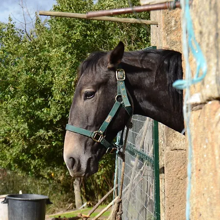 Quinta Da Mata - Turismo De Habitacao Casa rural