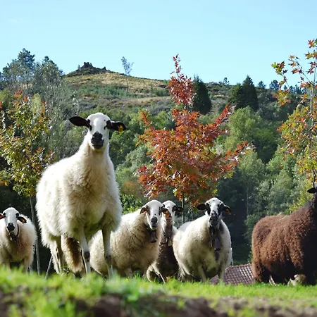 Quinta Da Mata - Turismo De Habitacao * Chaves