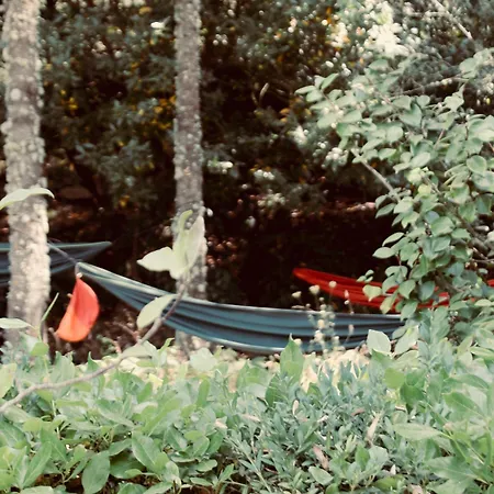 Quinta Da Mata - Turismo De Habitacao Landhaus *