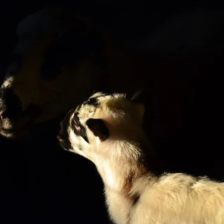 Landhaus Quinta Da Mata - Turismo De Habitacao