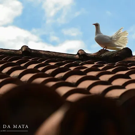 Quinta Da Mata - Turismo De Habitacao Landhaus Chaves