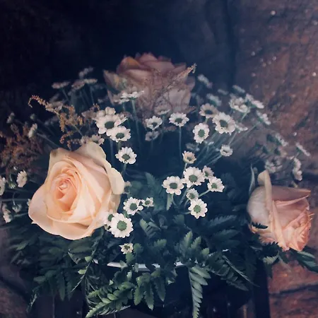 Quinta Da Mata - Turismo De Habitacao Landhaus Chaves