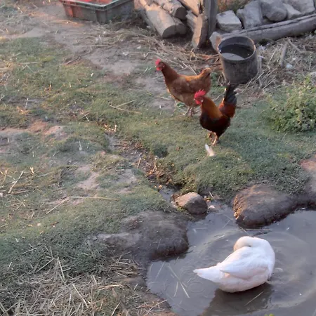 Quinta Da Mata - Turismo De Habitacao Casa rural Chaves