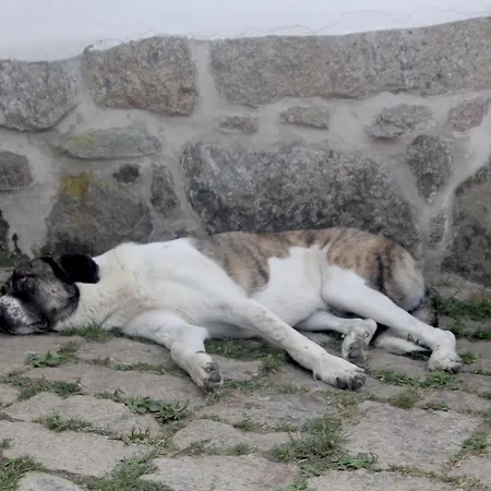 Quinta Da Mata - Turismo De Habitacao Chaves