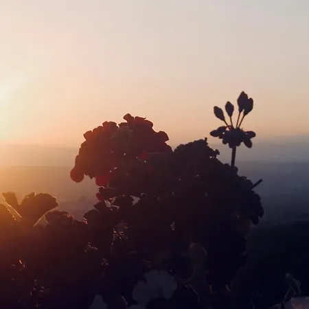 Quinta Da Mata - Turismo De Habitacao