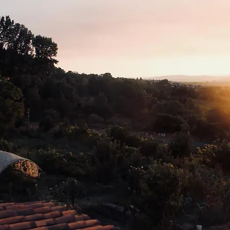 Quinta Da Mata - Turismo De Habitacao Chaves