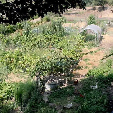 Quinta Da Mata - Turismo De Habitacao