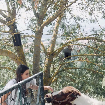 Quinta Da Mata - Turismo De Habitacao Landhaus