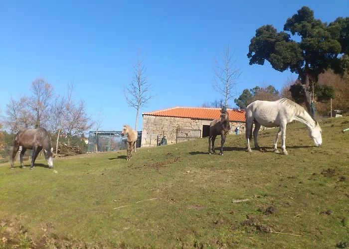 Landsted Quinta Da Mata - Turismo De Habitacao Chaves