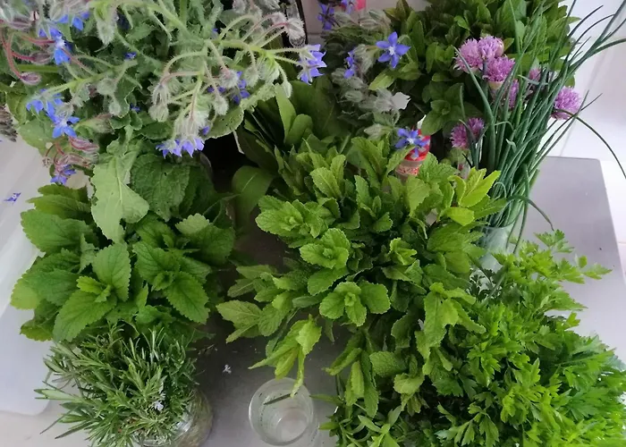 Quinta Da Mata - Turismo De Habitacao