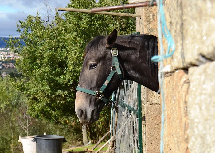 Quinta Da Mata - Turismo De Habitacao Landsted