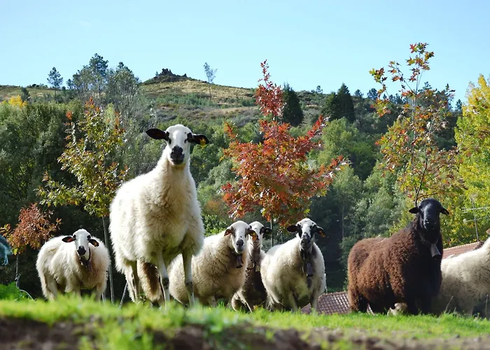 Quinta Da Mata - Turismo De Habitacao * 샤베스