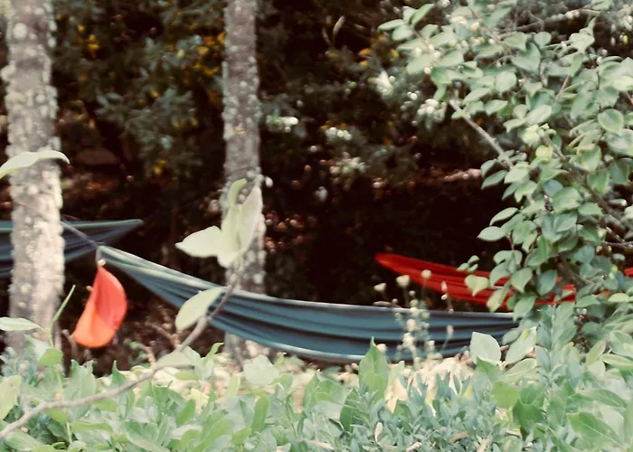 Quinta Da Mata - Turismo De Habitacao Landsted *