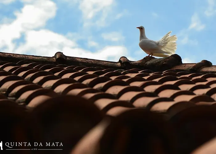 Quinta Da Mata - Turismo De Habitacao Hétvégi ház Chaves