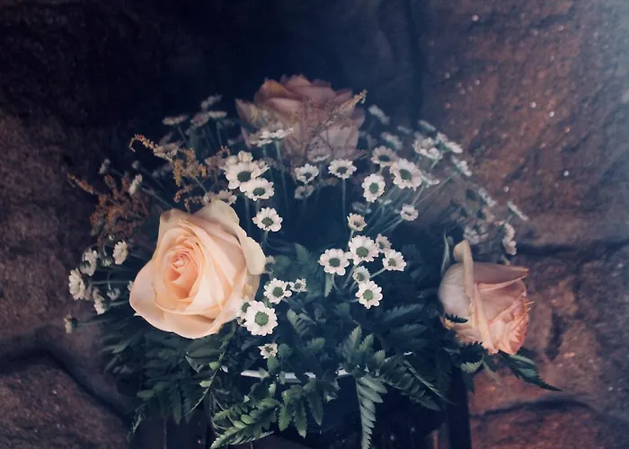 Quinta Da Mata - Turismo De Habitacao Casa rural Chaves