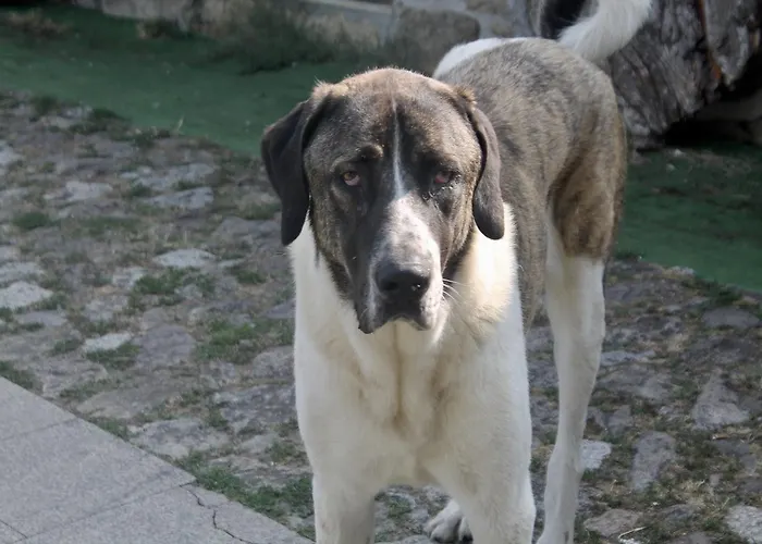 Quinta Da Mata - Turismo De Habitacao *