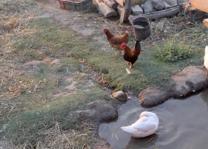 Quinta Da Mata - Turismo De Habitacao Landsted Chaves