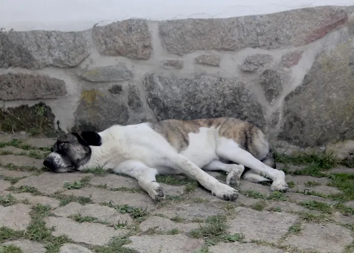 Quinta Da Mata - Turismo De Habitacao Chaves