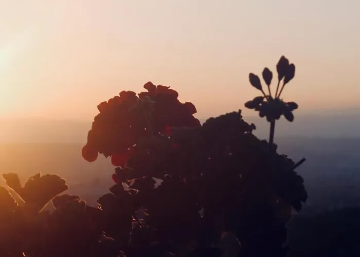 Quinta Da Mata - Turismo De Habitacao