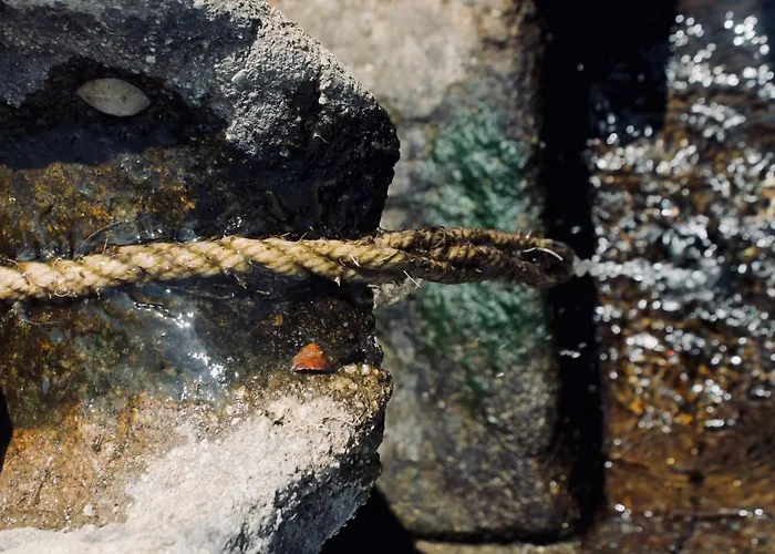 Quinta Da Mata - Turismo De Habitacao Landsted