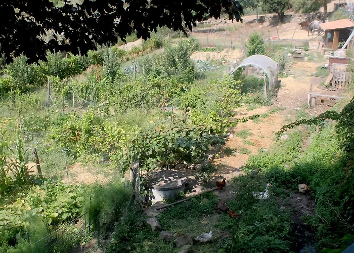 Quinta Da Mata - Turismo De Habitacao