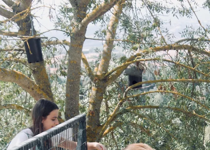 Quinta Da Mata - Turismo De Habitacao Hétvégi ház